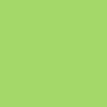 Professional Spray Paint - Brilliant Yellow Green