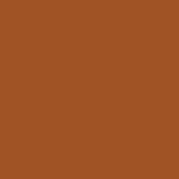 Professional Spray Paint - Raw Sienna